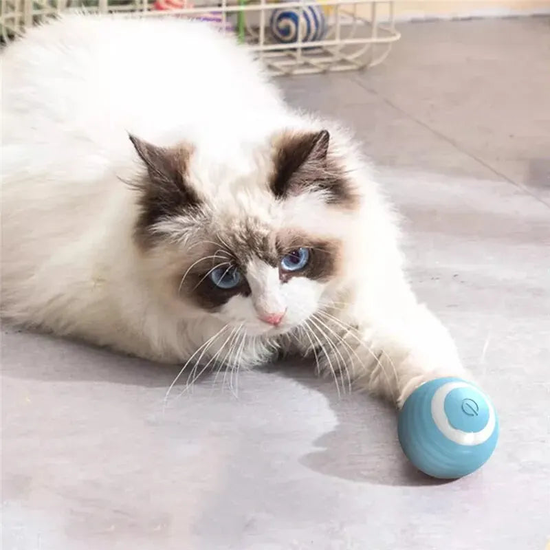 Pelota eléctrica para gatos: juguete automático que se mueve por sí solo, estimulando el interés y la actividad de tu mascota.