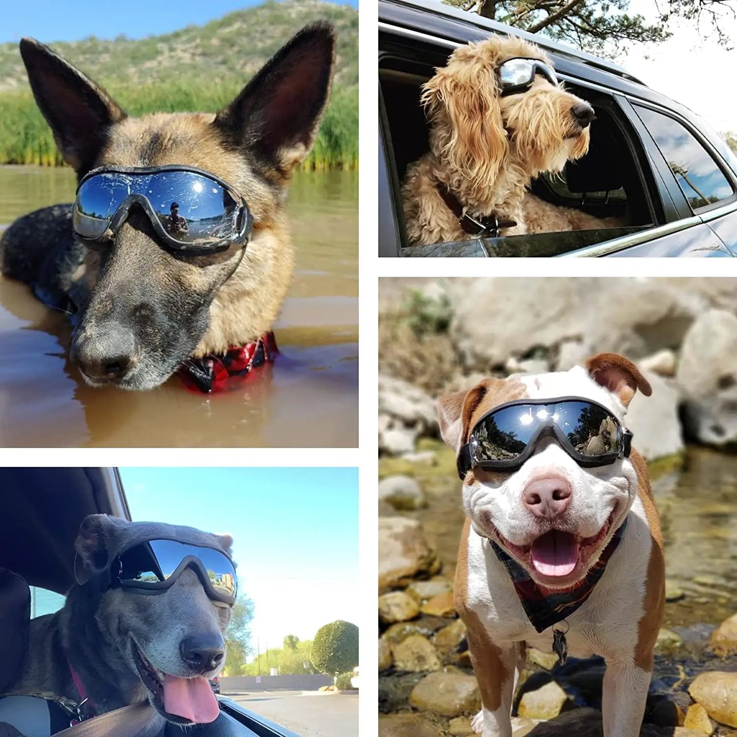 Gafas de Sol Premium para Perros Aventureros: Protección UV400 y Estilo para tu Mejor Amigo